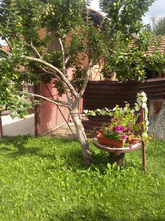 Guest House Ahp Mala Carkva Kültér fotó
