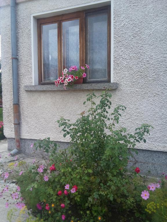 Guest House Ahp Mala Carkva Szoba fotó